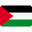 Palestine Flag shrink-0